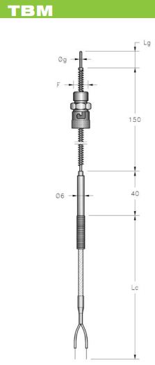 cap-nhiet-dien-co-lo-xo-thermocouples.png